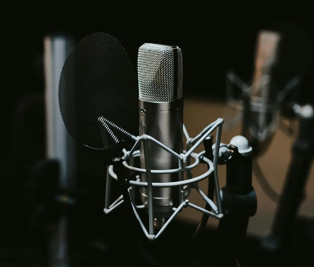 A studio condenser microphone in a shock mount